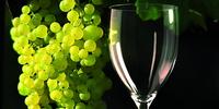 Kolekcja szkła VINOTECA. Kieliszki i karafki, które mówią o winie